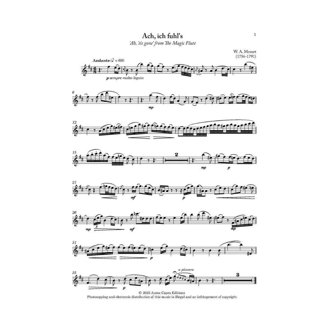 Night at the Opera Act 3 by Elisabeth Parry and John Alley. Great opera arias for flute and piano. Intermediate to advanced concert pieces for flute.