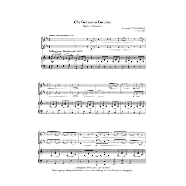 Night at the Opera 1 for two clarinets and piano arranged by Elisabeth Parry and John Alley. Easy-Intermediate clarinet duets.