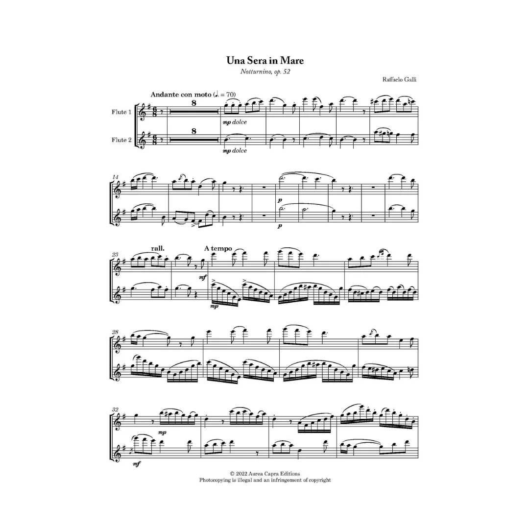 Raffaello Galli Two Fantasies. Music for two flutes and piano. Advanced duet, concert encore for two flutes.