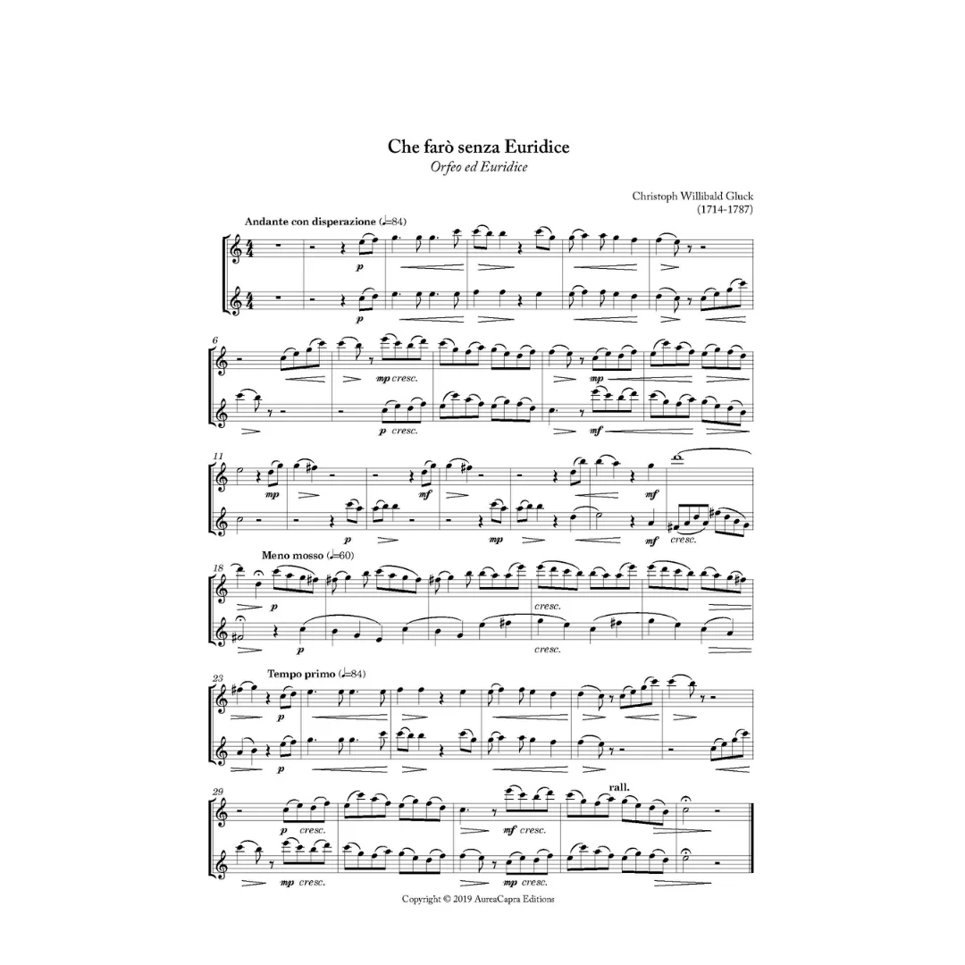 Night at the Opera 1 arranged by Elisabeth Parry and John Alley. Easy-Intermediate flute or violin duets.