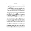 Night at the Opera Act 3 by Elisabeth Parry and John Alley. Great opera arias for flute and piano. Intermediate to advanced concert pieces for flute.