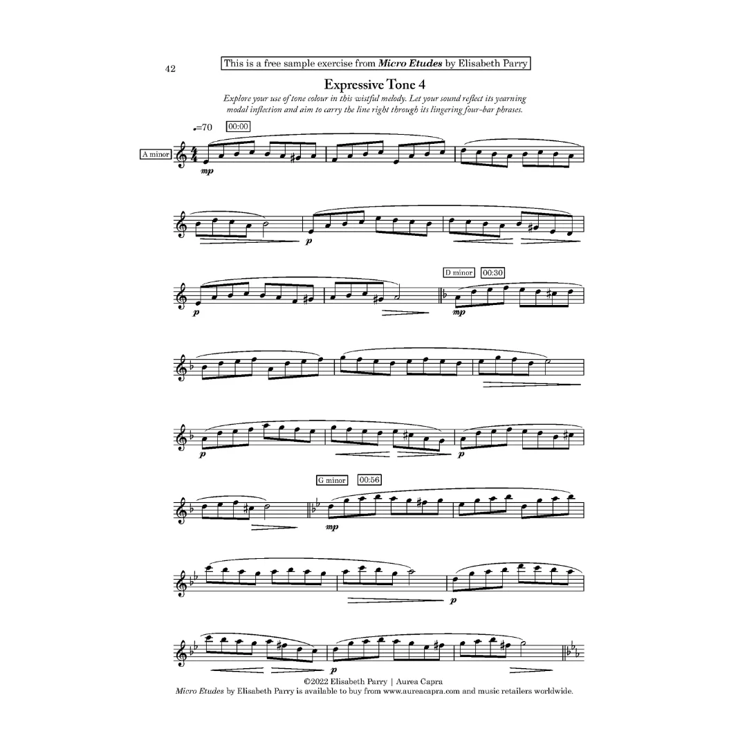 Micro Etudes by Elisabeth Parry. Short melodic technique exercises for flute. Flute sonority, finger exercises, articulation, embouchure exercises.