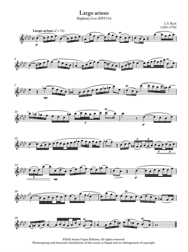Bach Largo Arioso for alto flute from Meditations for Alto Flute by Elisabeth Parry and John Alley